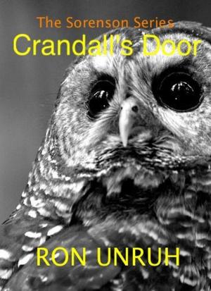 Cover of the book CRANDALL’S DOOR by G.N.Paradis