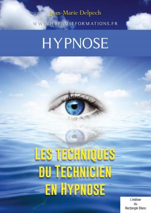 Cover of the book Les techniques du Technicien en Hypnose by Jean-Marie Delpech-Thomas