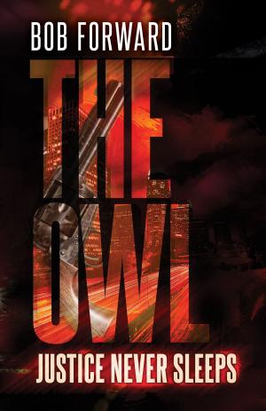 Cover of the book The Owl by Sebastian Corbascio