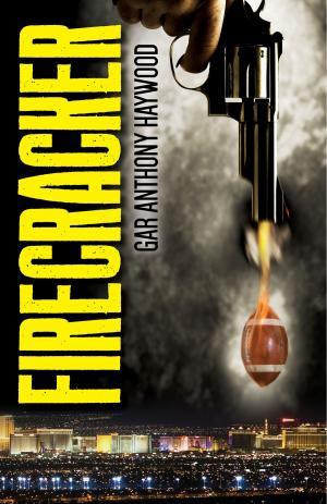 Book cover of Firecracker