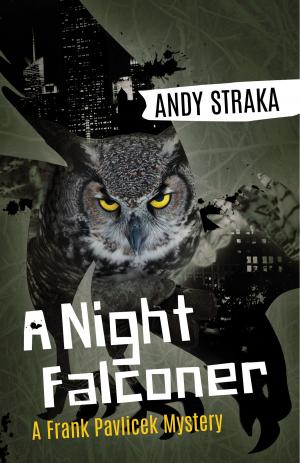 Book cover of A Night Falconer