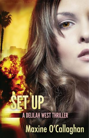 Cover of the book Set Up by Carolyn Weston