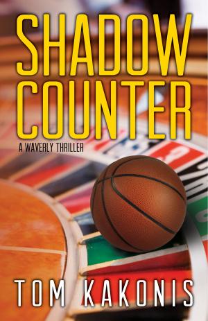 bigCover of the book Shadow Counter by 