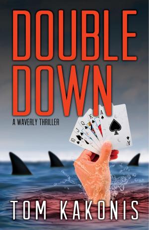 Cover of the book Double Down by M.R. Graham