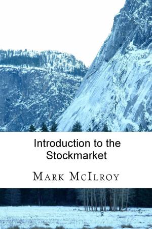 Cover of Introduction to the Stockmarket