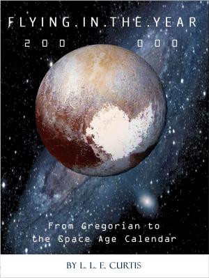 Cover of the book Flying in the Year 200 000 by Nathan D. Gjovik