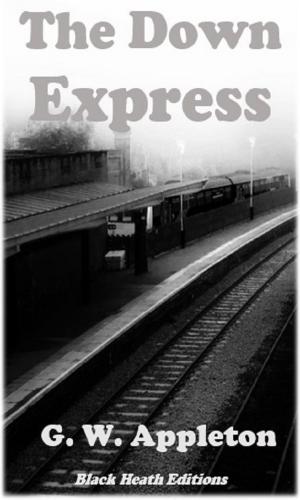 Cover of the book The Down Express by Francis Adams