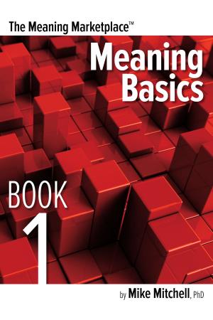 Book cover of Meaning Marketplace Book 1