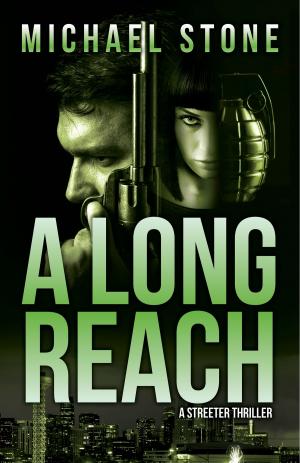 Cover of the book A Long Reach by Michael Stone