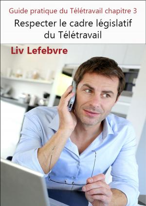 Cover of the book Respecter le cadre législatif du Télétravail by Steve Simmonds