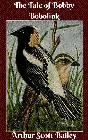 Cover of the book The Tale of Bobby Bobolink by Arthur Scott Bailey