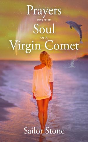 Cover of the book Prayers for the Soul of a Virgin Comet by D.K.R. Boyd
