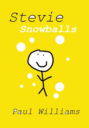 Book cover of Stevie - Snowballs