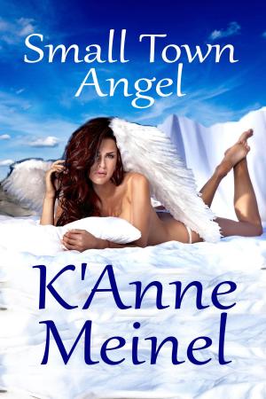 Book cover of Small Town Angel