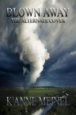 Cover of the book Blown Away by Q.C. Masters