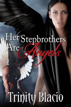 Cover of the book Her Stepbrothers are Angels by Allison Paris