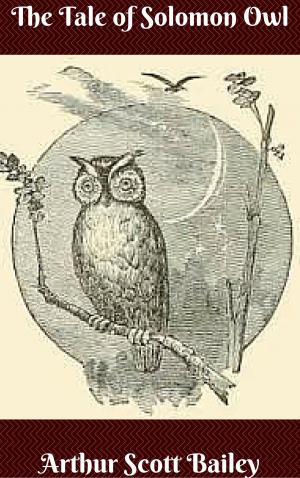 Book cover of The Tale of Solomon Owl