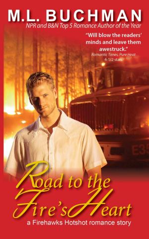Book cover of Road to the Fire's Heart