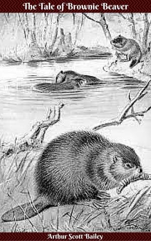 Cover of the book The Tale of Browie Beaver by Arthur Scott Bailey