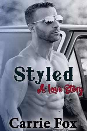 Cover of the book Styled: A Love Story by Barb Rude