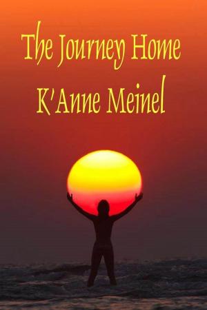 Cover of the book The Journey Home by Jennis Slaughter