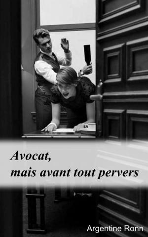 Book cover of Avocat, mais avant tout pervers