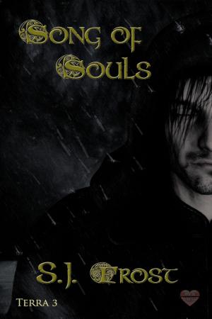 Cover of the book Song of Souls by Shawn Bailey