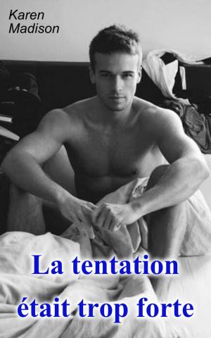 Cover of the book La tentation était trop forte by Rafaela Valdez