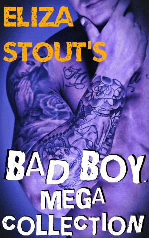 Book cover of Eliza Stout's BAD BOY Mega Collection