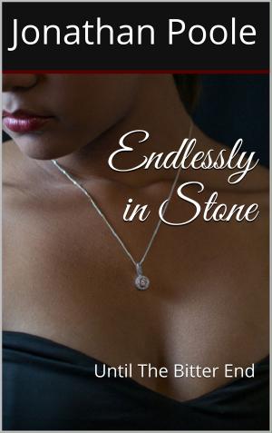 Cover of the book Endlessly in Stone by Harvey Saltz