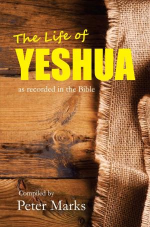 Cover of the book The Life of Yeshua by Marianne Edwins