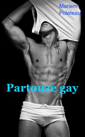 bigCover of the book Partouze gay by 