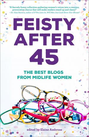 Cover of the book Feisty After 45 by Martin Goldsworthy