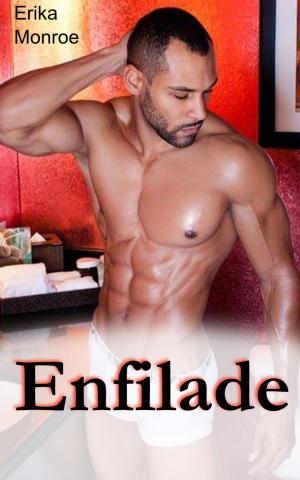 Cover of the book Enfilade by Susan Stephens