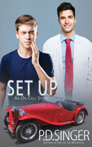 Cover of the book Set Up by P.D. Singer, Eden Winters
