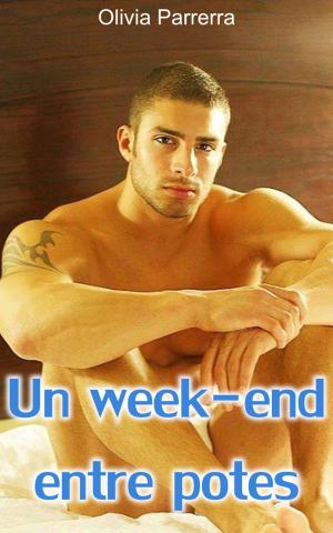 Cover of the book Un week-end entre potes by Taylor Gibbs