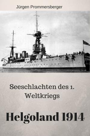 Cover of the book Seeschlachten des 1. Weltkriegs by Chris Northcott
