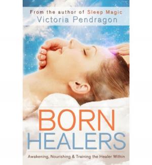 Cover of the book Born Healers by Dolores Cannon