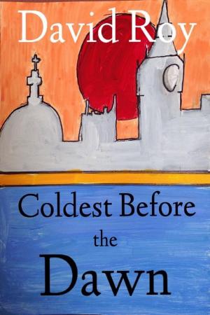 Book cover of Coldest Before The Dawn