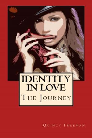 Cover of the book Identity in Love by Justine Elvira
