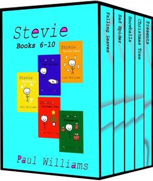 Book cover of Stevie - Series 2 - Books 6-10: Vol 6 - 10. Falling Leaves, Sad Spider, Snowballs, Christmas Tree and Presents.