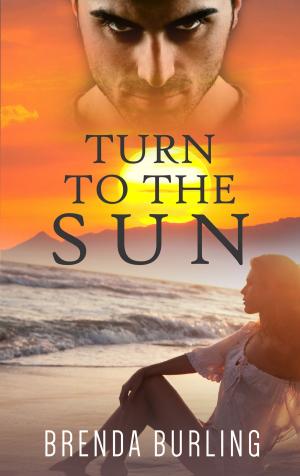 Cover of the book Turn To The Sun by Krysten Lindsay Hager