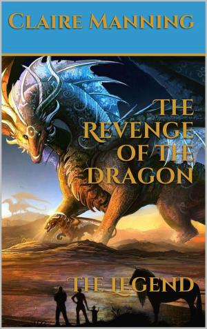Cover of the book The Revenge of the Dragon by GoMadKids, Stuart Jensen