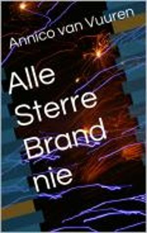 Cover of the book Alle Sterre Brand nie by Annico van Vuuren