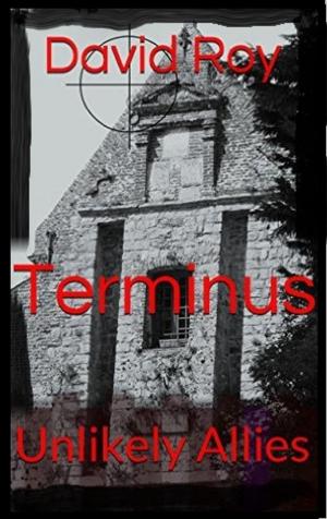 Cover of the book Terminus by Nauman Ashraf