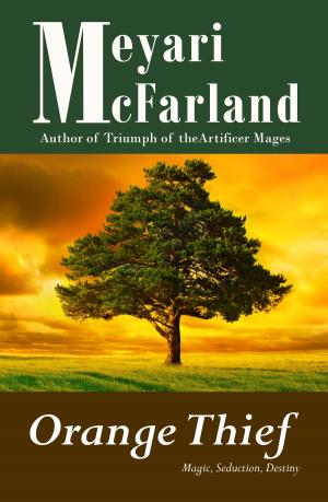 Cover of the book Orange Thief by Meyari McFarland