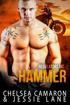 Cover of the book Hammer by Janice Elliott-Howard