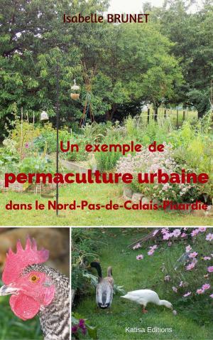 Cover of the book Un exemple de permaculture urbaine dans le Nord-Pas-de-Calais-Picardie by Matthew Benson