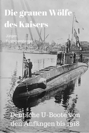 Cover of the book Die grauen Wölfe des Kaisers by Jürgen Prommersberger