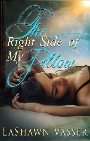 Cover of the book The Right Side of My Pillow by Rae Winters